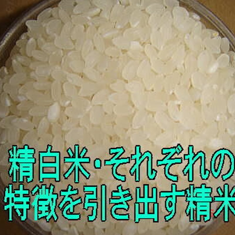 佐藤君の 雪 若 丸 精白米 3kg 山形県 | お米のふなくぼ