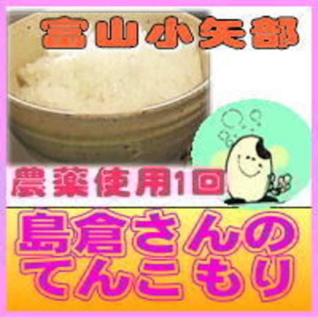 島倉さん のてんこもり　精白米　5kg　　富山県