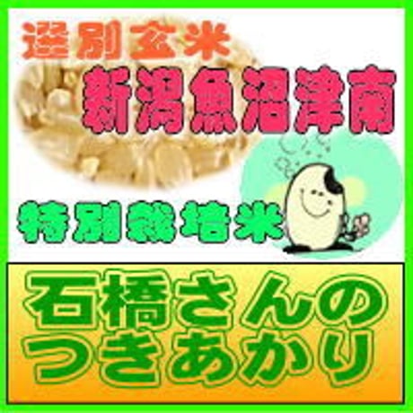 魚沼石橋さんの つきあかり　選別玄米　5kg　　新潟県