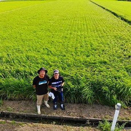 佐藤君の 雪 若 丸　精白米　5kg　　山形県
