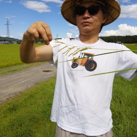 魚沼津南石橋さんのコシカリ　精白米　5kg　　新潟県