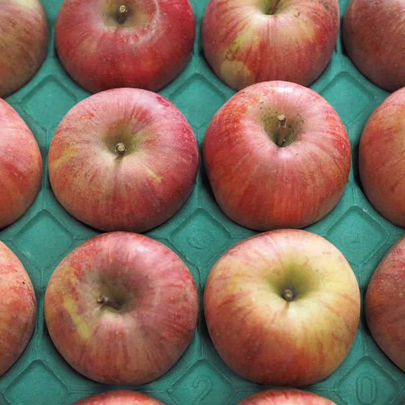 ふじ 5Kgx2箱 | 山幸農園オンラインストア