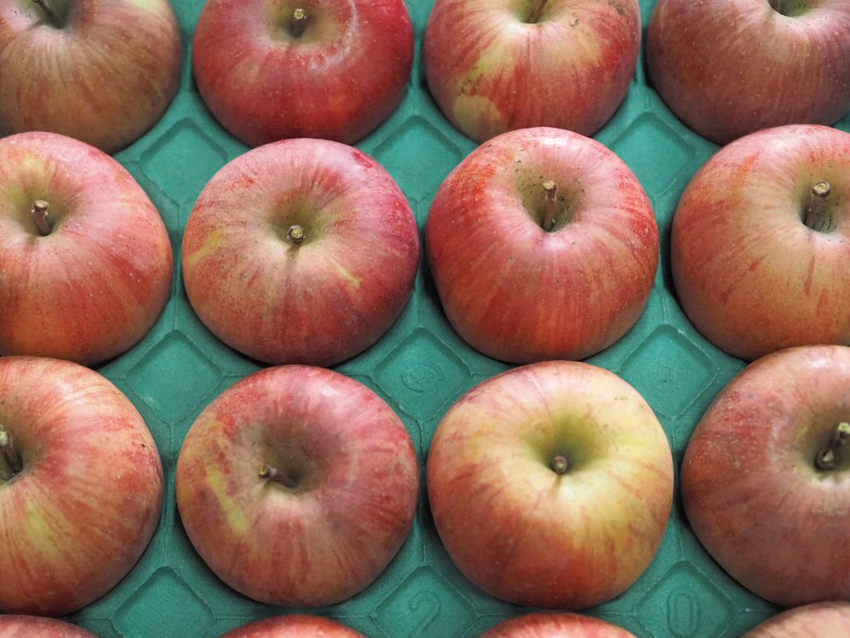 ふじ　ふじこさん専用 ふじ ふじこさん専用 Fujiko Official Pages｜フジコ オフィシャル