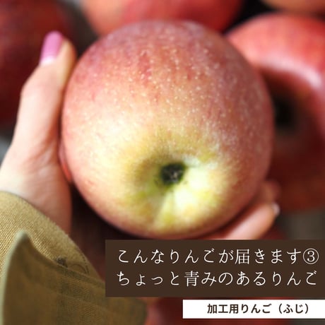 加工用のわけありんご 5Kg