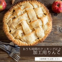 加工用のわけありんご 5Kg