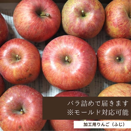 加工用のわけありんご 5Kg