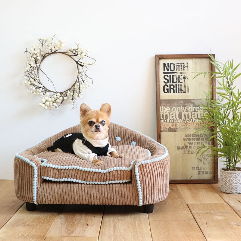 MARRON(マロン)ペット用ソファ ベット 【 PETTO 】ペットと | shianyan