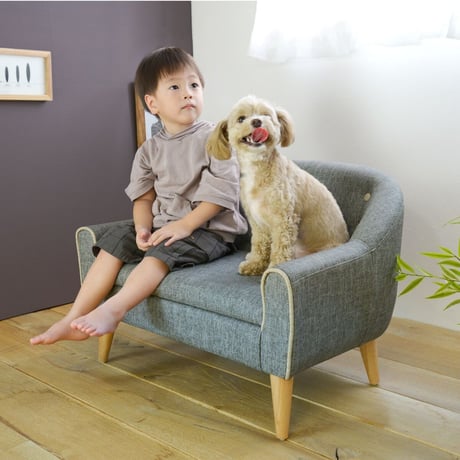 RILI リリ ペット用ソファ ベッド /【 PETTO 】ペットと