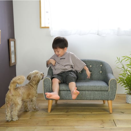 RILI リリ ペット用ソファ ベッド /【 PETTO 】ペットと