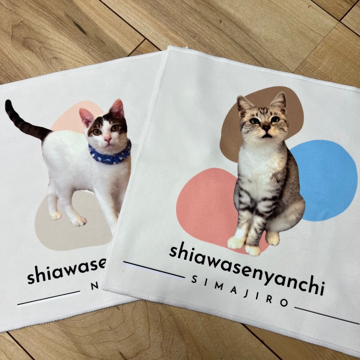 りんりん様パネル　ねこ　ハンカチ受付 気長にお待ちくださいm(_ _)m りんりん様☆ネコちゃんパネル☆ 【ハンカチ受付】
