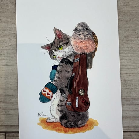 チャリティ：猫さんポストカード