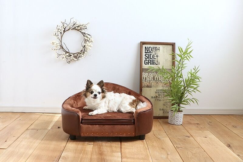 PEPE ペペ ペット用ソファ ベッド /【 PETTO 】ペットと | shianyan.shop