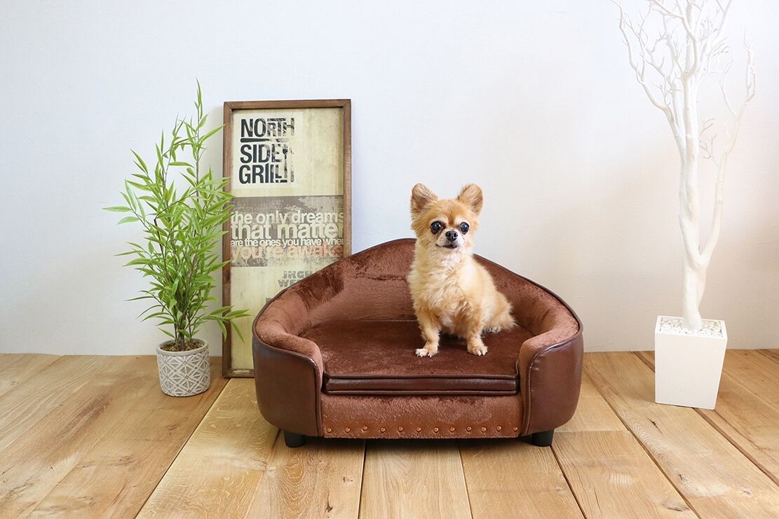 PEPE ペペ ペット用ソファ ベッド /【 PETTO 】ペットと | shianyan.shop