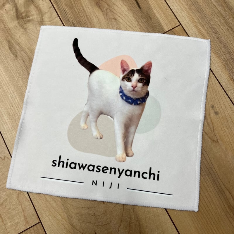 猫さんプリントハンカチ：完全ご支援 | shianyan.shop