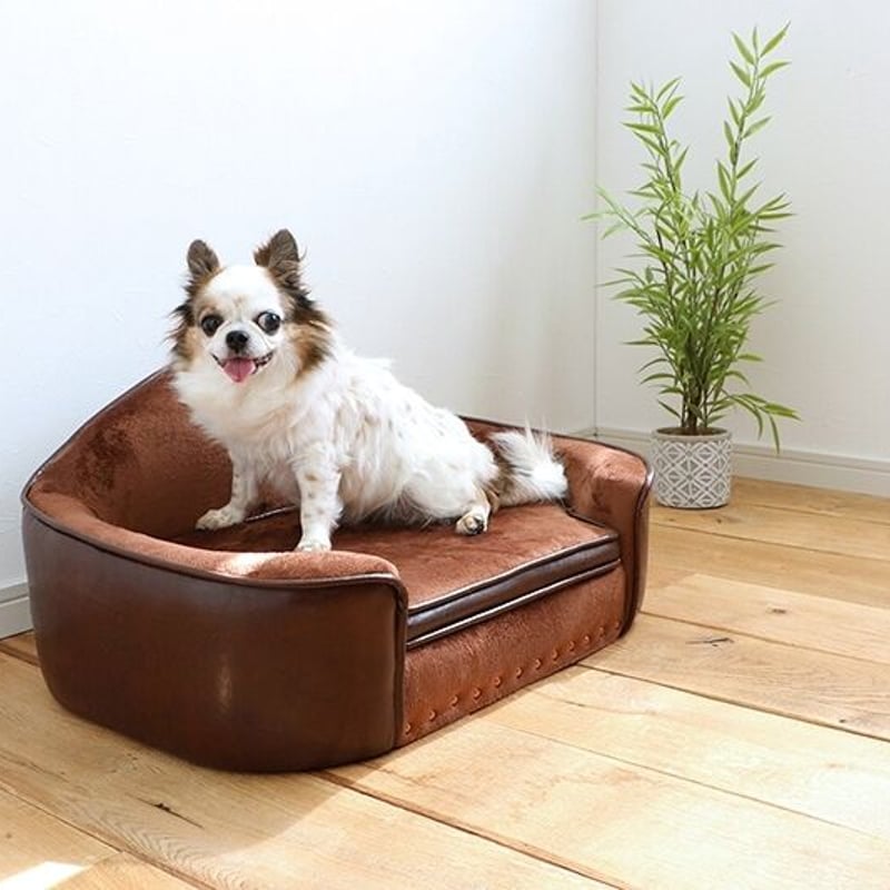 PEPE ペペ ペット用ソファ ベッド /【 PETTO 】ペットと | shianyan.shop