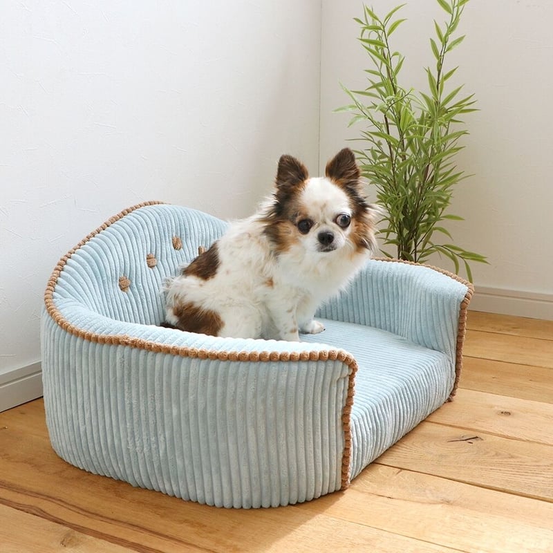 MARRON(マロン)ペット用ソファ ベット 【 PETTO 】ペットと | shianyan
