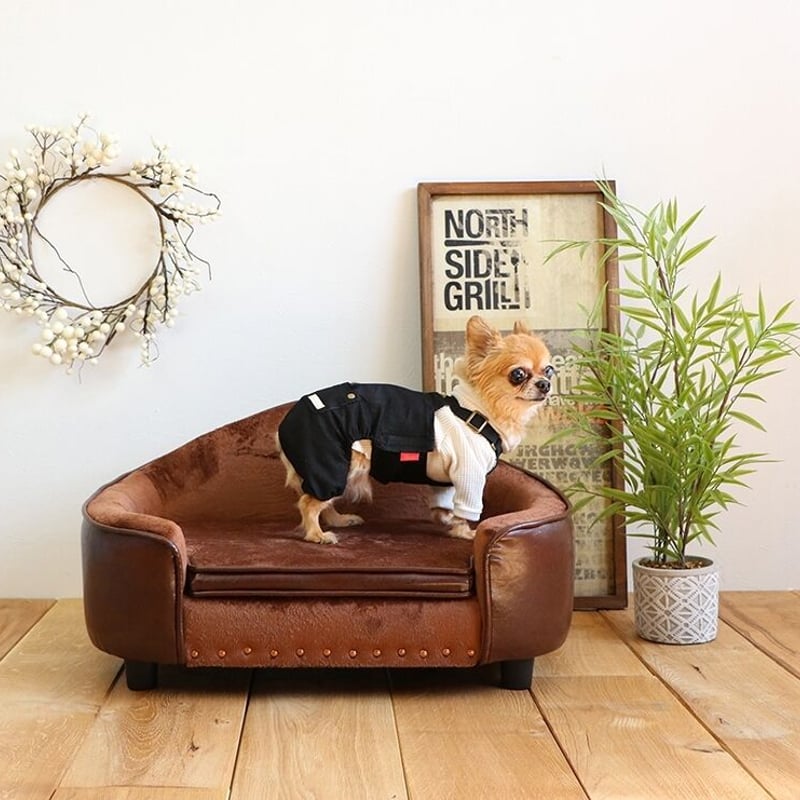 PEPE ペペ ペット用ソファ ベッド /【 PETTO 】ペットと | shianyan.shop