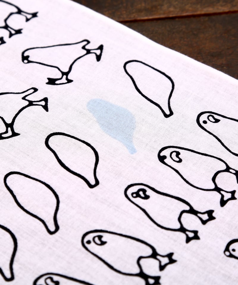 セキセイインコ | nugooNEXT