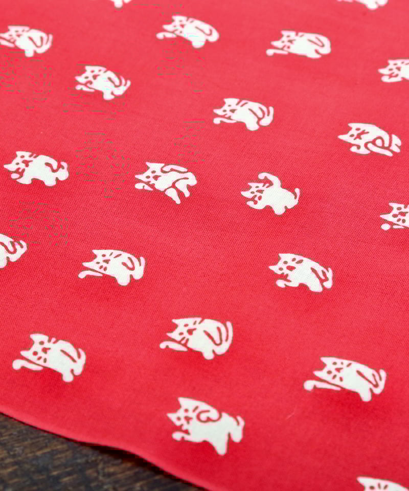 数量限定販売：動物柄②】まねきにゃんこ | nugooNEXT