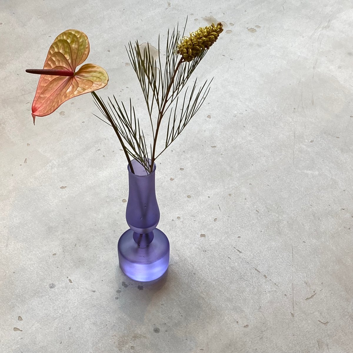 YOKI 05 / PURPLE YOKI