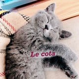 Le cota store