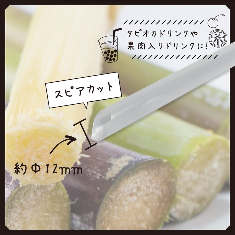 スペラ　12/21迄 232469-rdbkx.jpg