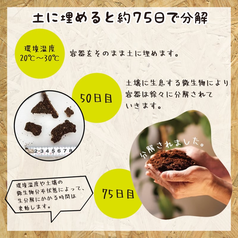 バガス カップ 16オンス 470ml 本体 生分解性 PFAS フッ素 フリー
