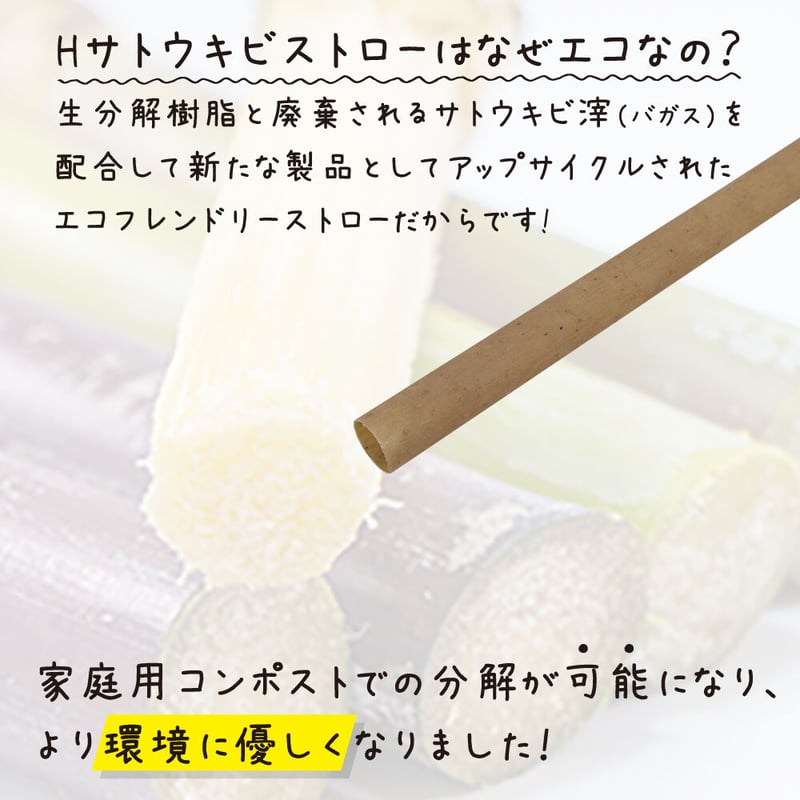 Hサトウキビストロー(生分解） ストレート 100本入り 個包装 約