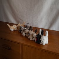 専用ページ