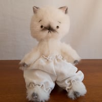 専用ページ