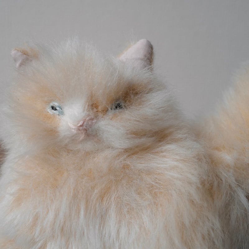 ふわふわのネコ ふわふわベージュ猫ちゃん | さて