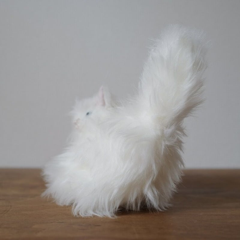 長毛白猫ちゃん | さて
