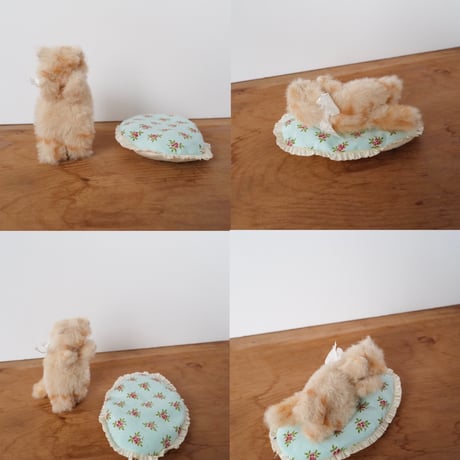 ねむねむ猫ちゃん