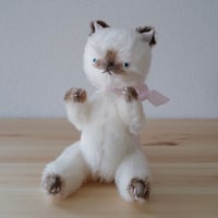 茶シャム猫ちゃん