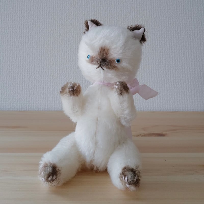 茶シャム猫ちゃん | さて