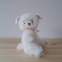 困り顔のわんちゃん