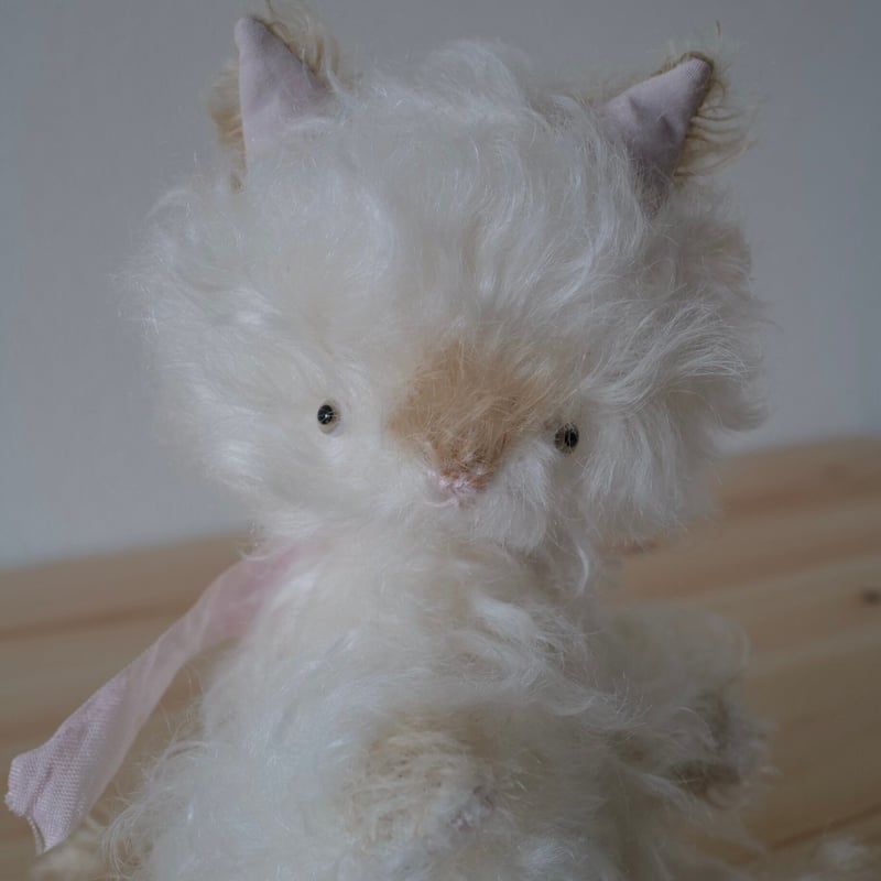 白茶シャム猫ちゃん | さて