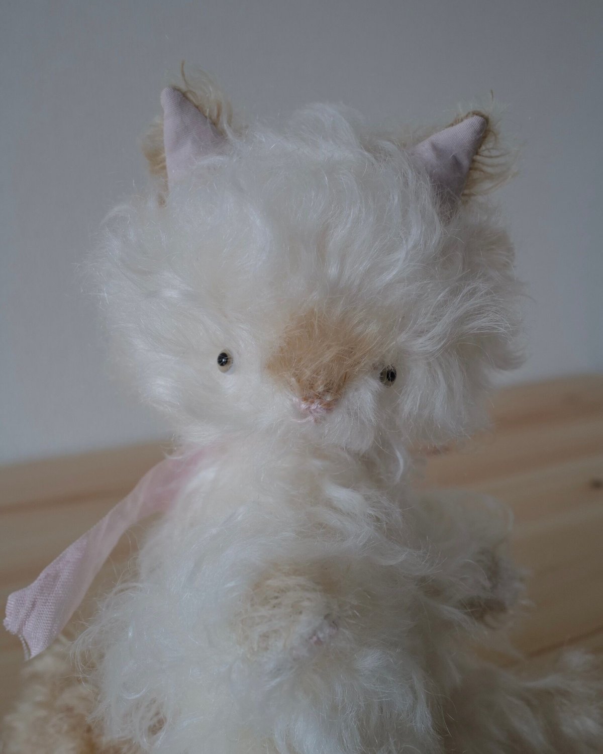 白茶シャム猫ちゃん | さて