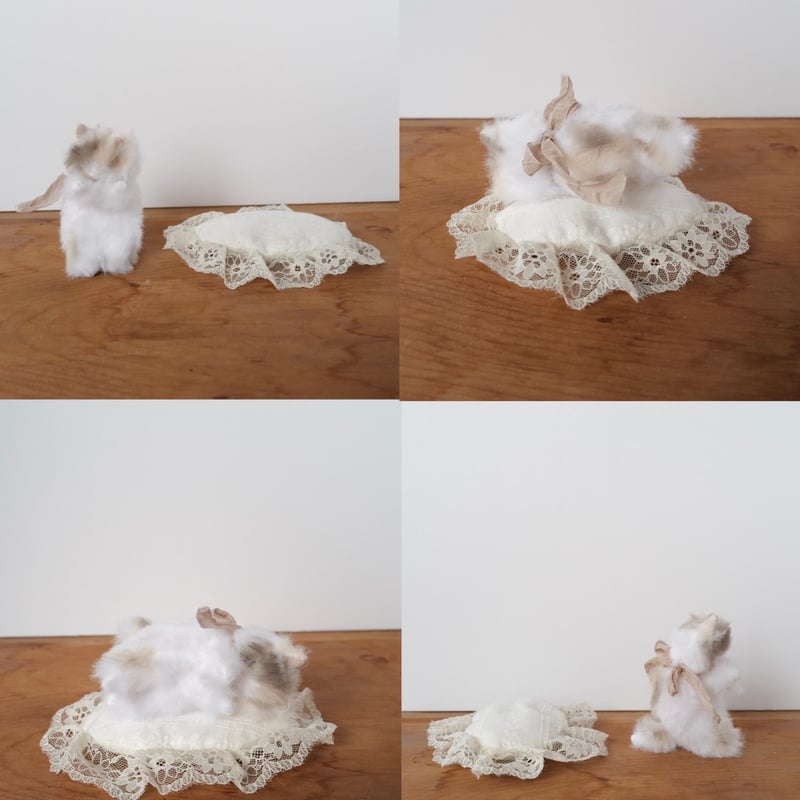 ねむねむ猫ちゃん | さて