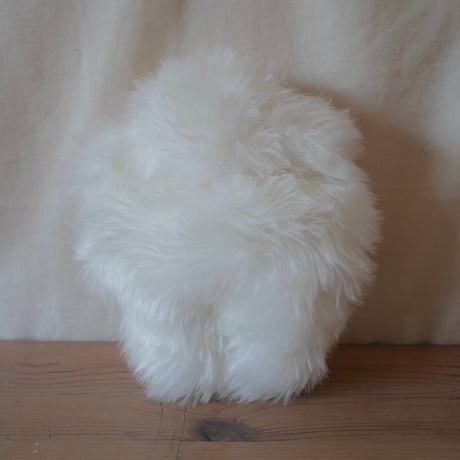 ぺったんこ　白わんちゃん