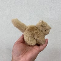 専用ページ
