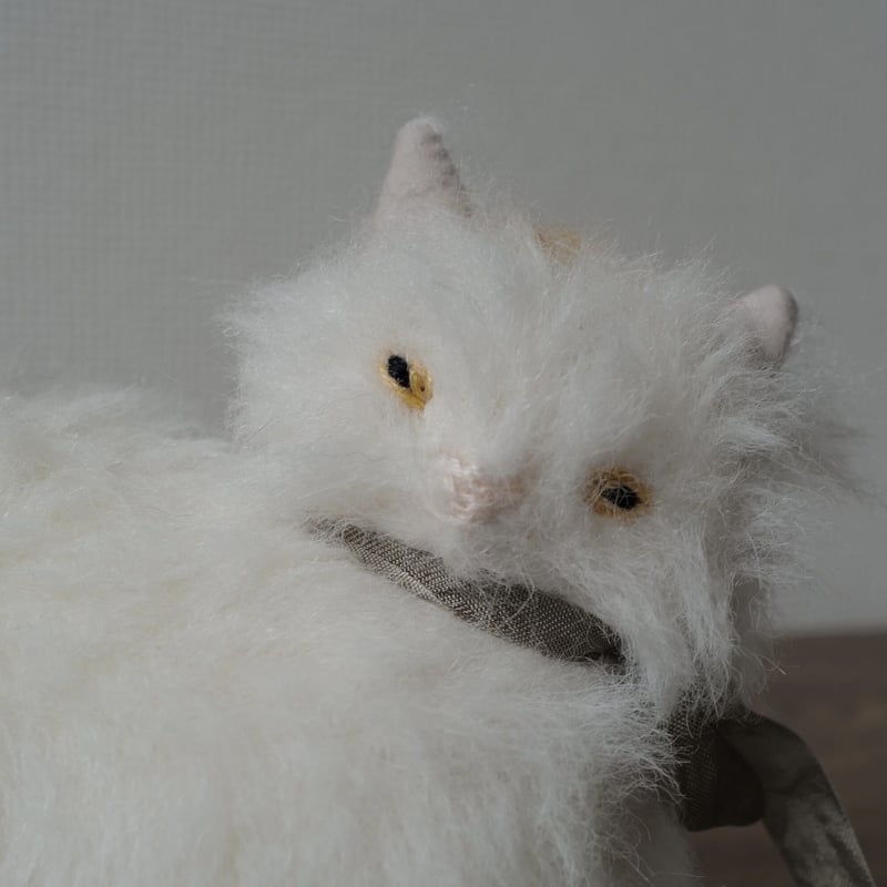 ターキッシュバン猫ちゃん | さて