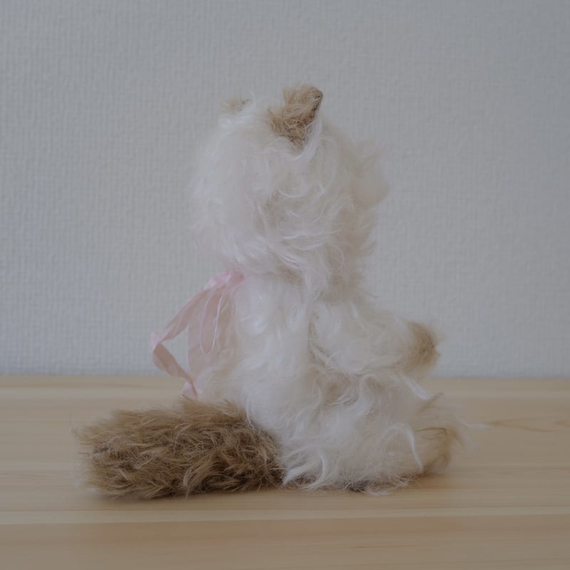 長毛茶シャム猫ちゃん | さて
