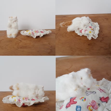 ねむねむ猫ちゃん