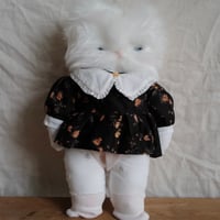 おすまし白ネコちゃん