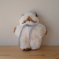 ぺったんこ猫ちゃん　シャム
