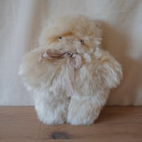 ぺったんこ　鼻ぺちゃ猫ちゃん