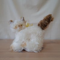 茶シャム猫ちゃん