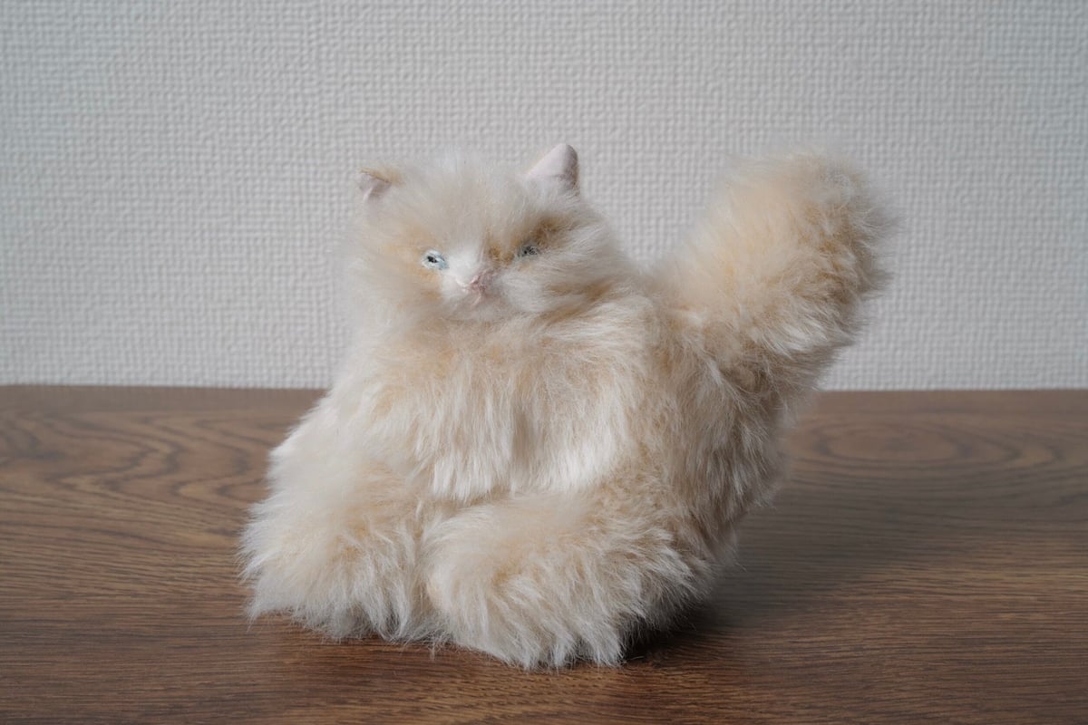 ふわふわベージュ猫ちゃん | さて