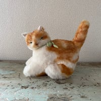専用ページ